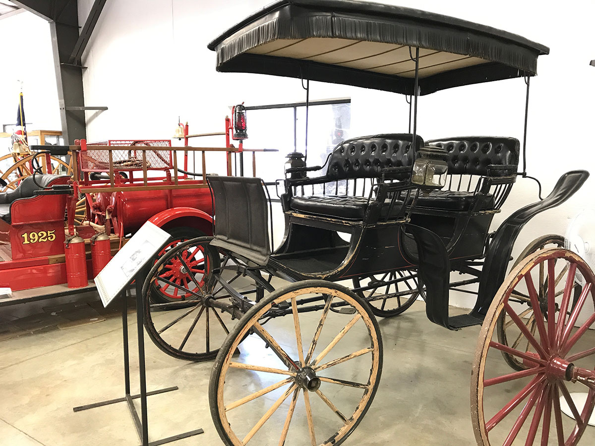 Photograph of a surrey with a fringe on top.